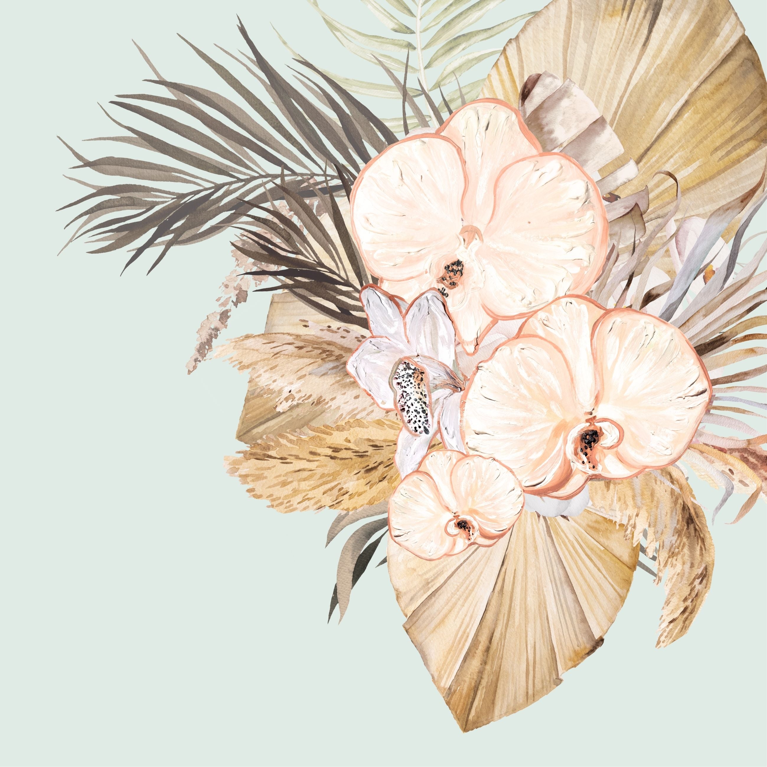 Pastel Orchid 1