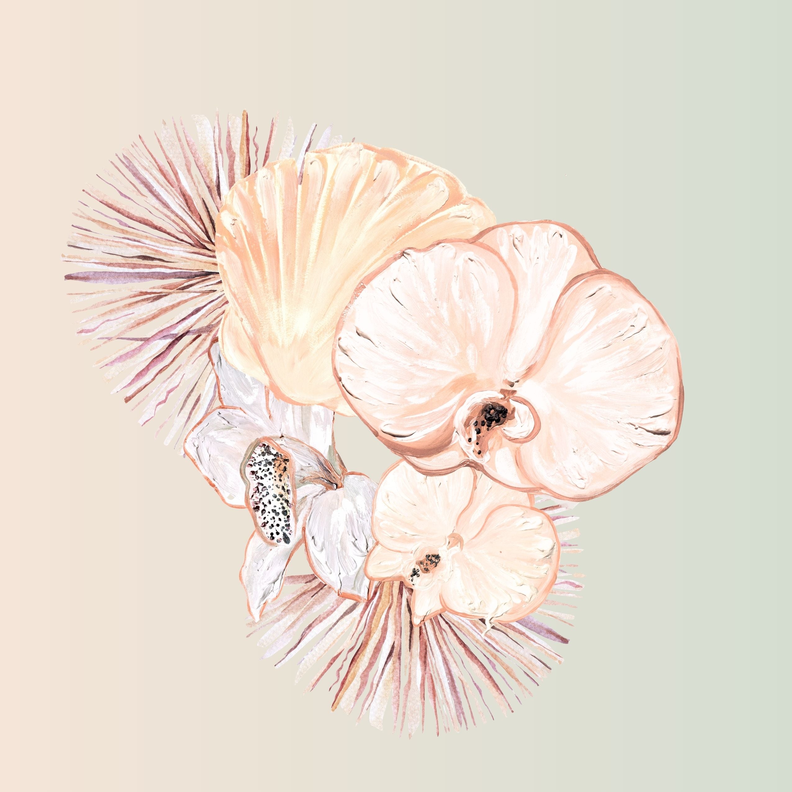 Scalops and Orchids 1