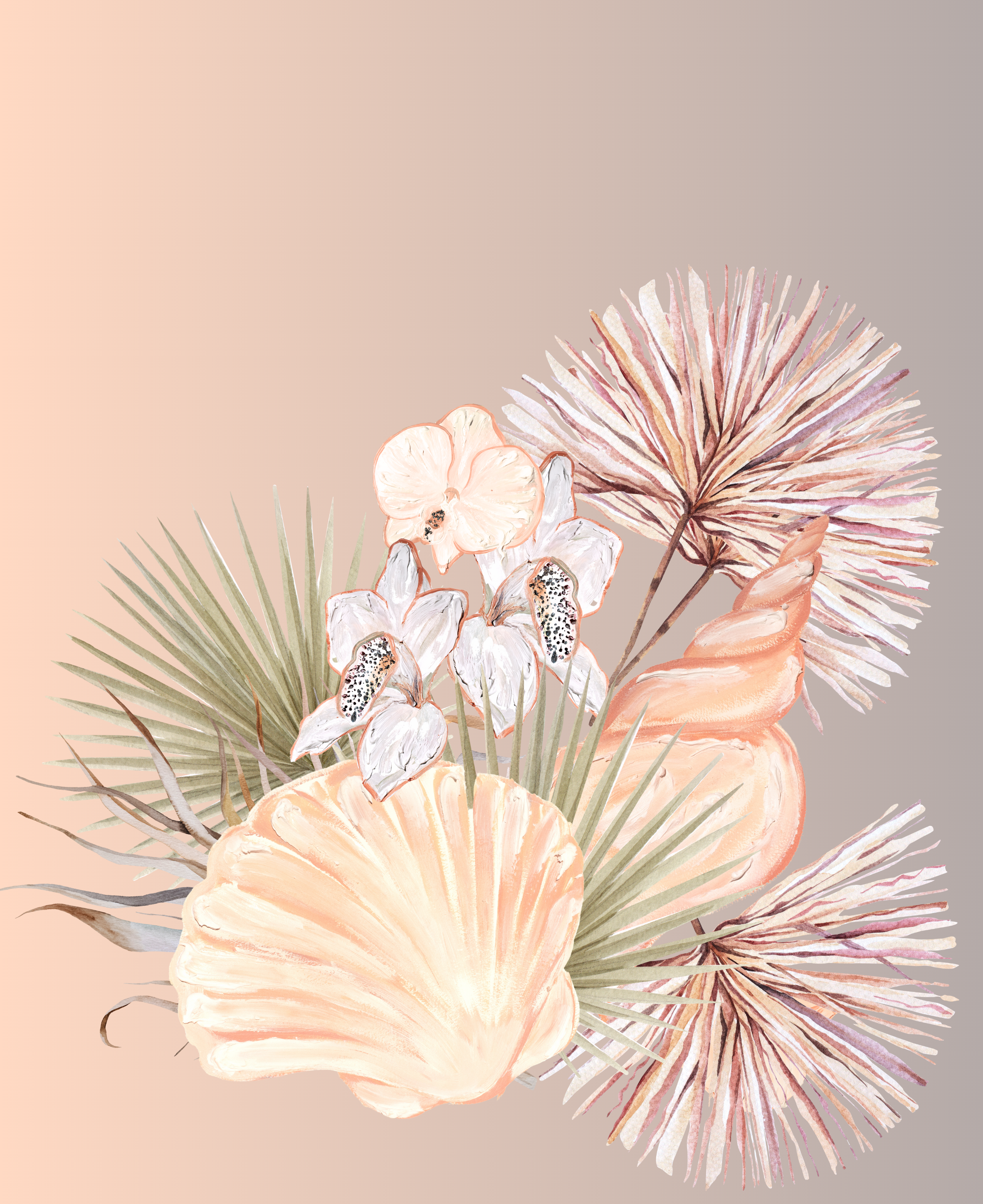 Angelic Sea Shells 2