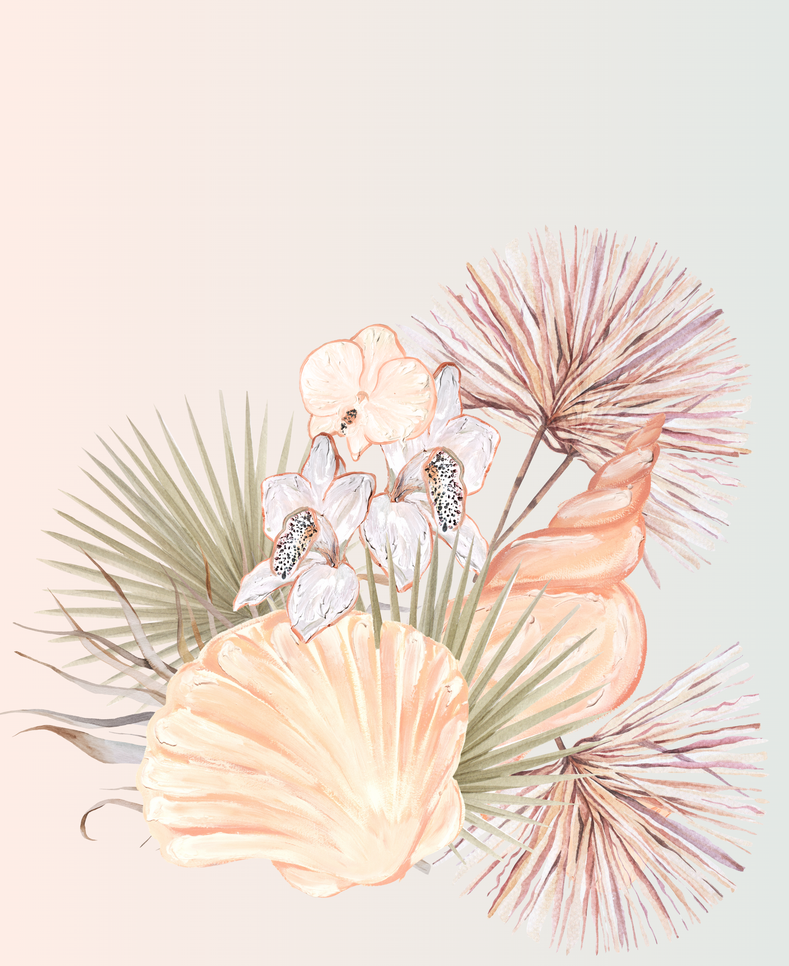 Angelic Sea Shells 2