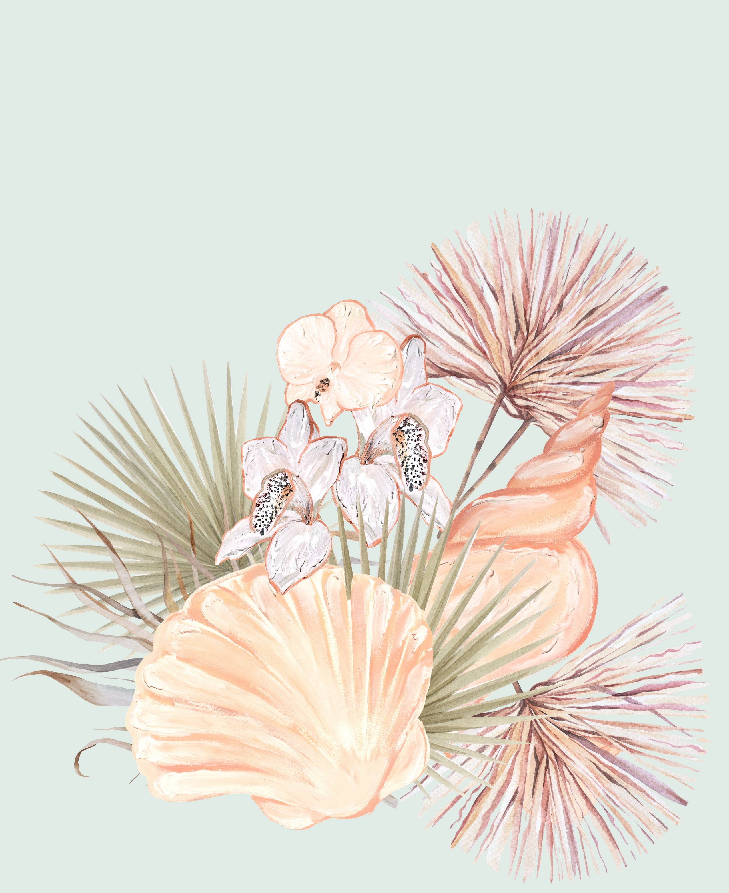 Angelic Sea Shells 2