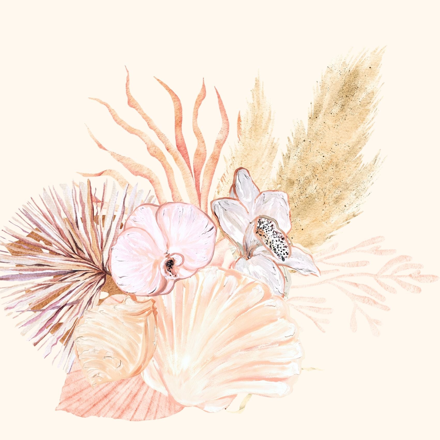 Seashells and Orchids 1