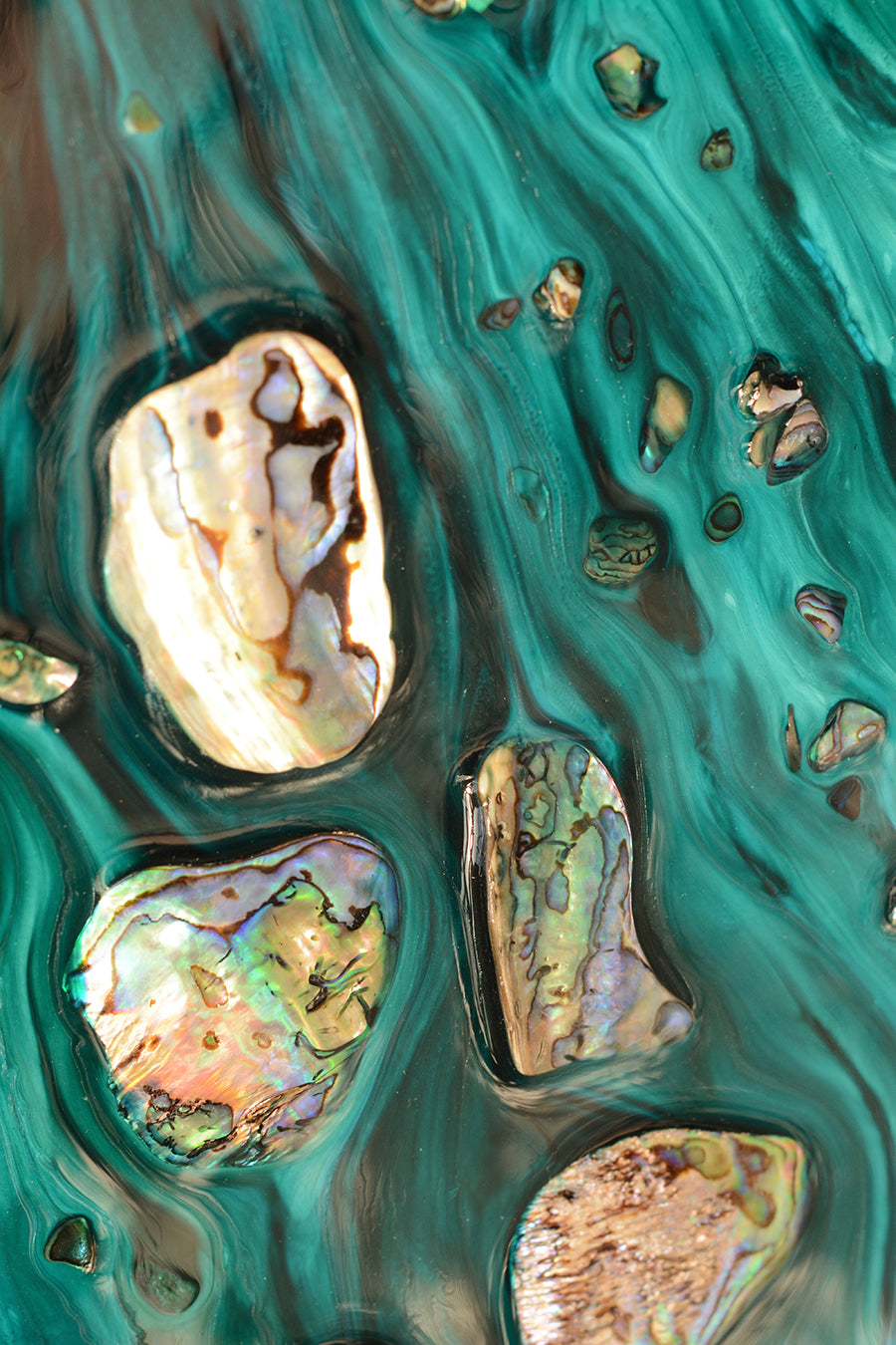 Abstract Art. Rise Above Tide 3 Coastal Shells. Art Print. Antaunelle 2 Shells Artwork. Limited Edition Print