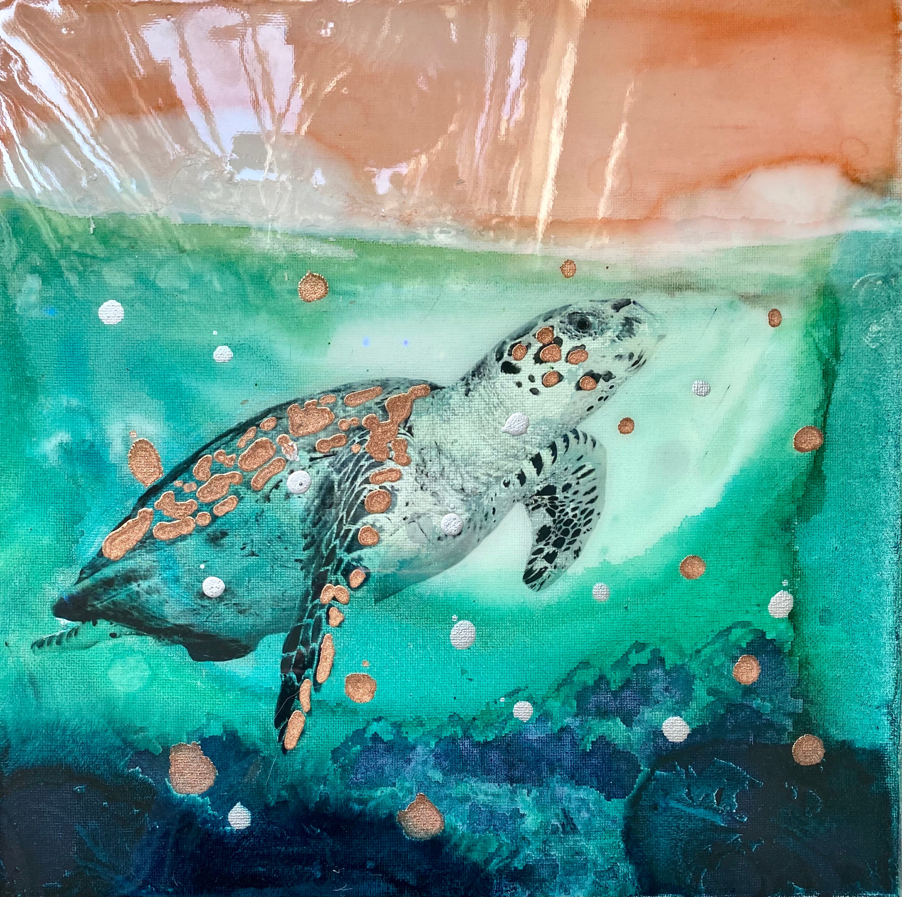 Close to Extinction Bright set of 4 - Ocean Turtle Cicada Original Art- Gallery Wall