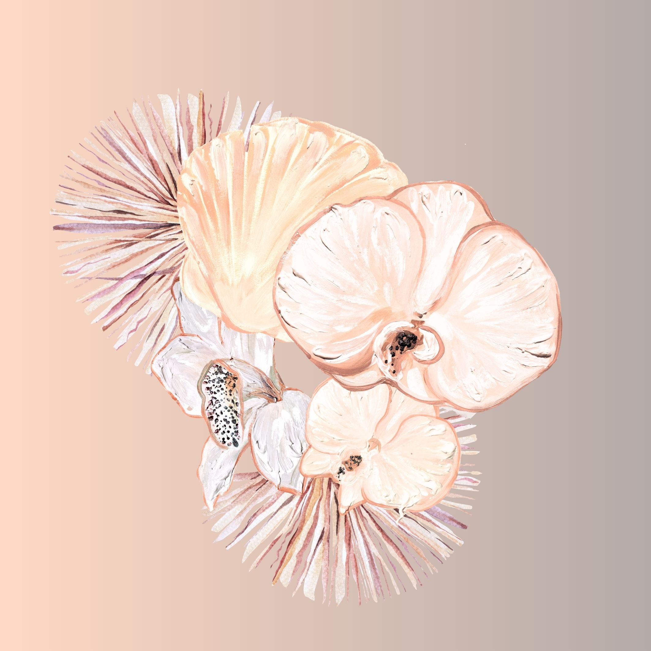 Scalops and Orchids 1