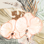 Pastel Orchid Extra long Panorama