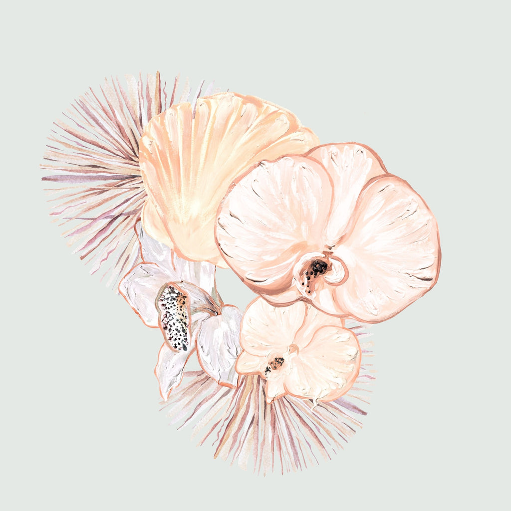 Scalops and Orchids 1