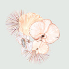 Scalops and Orchids 1