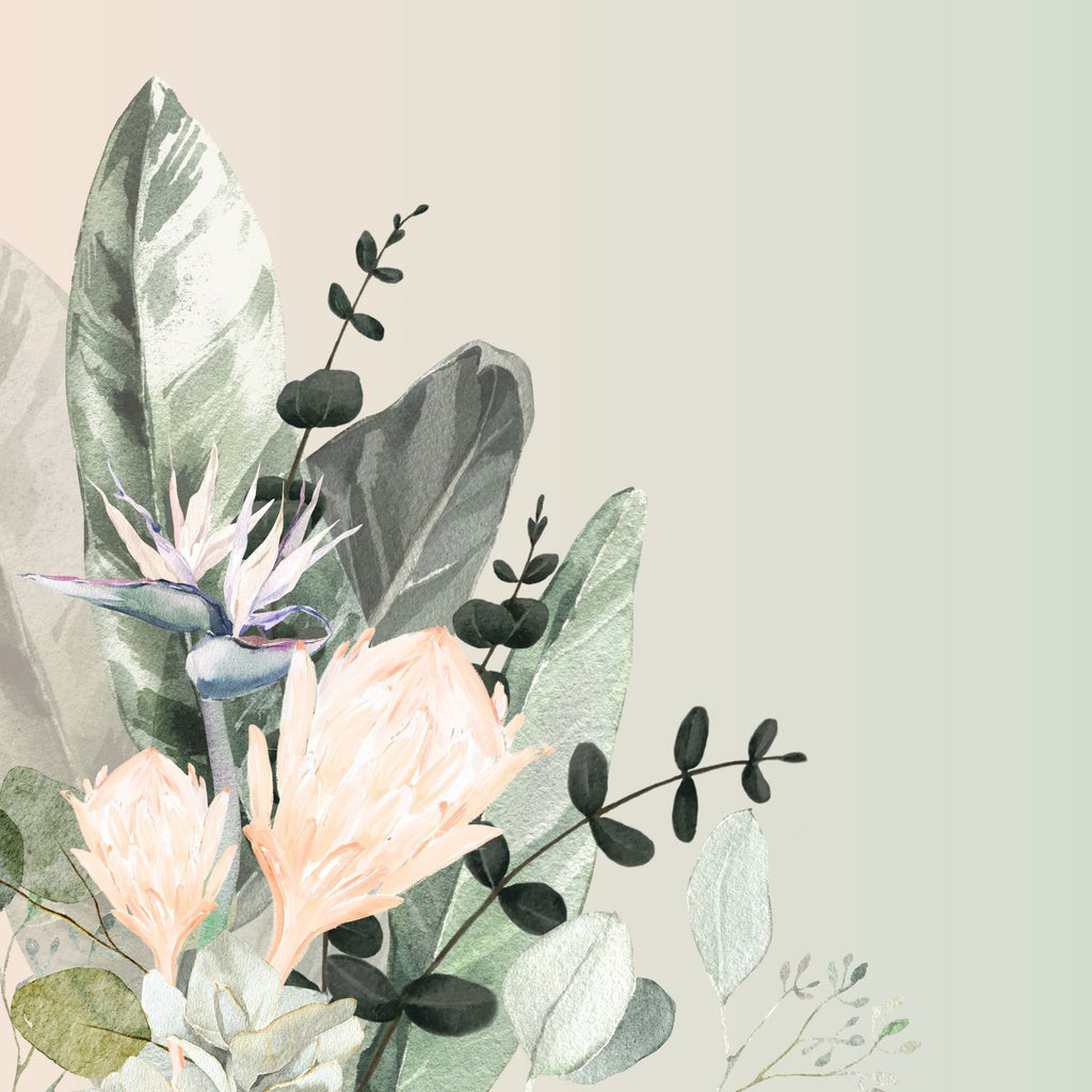 Protea 1 Australian Wildflower. Limited edition Print. Square