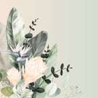 Protea 1 Australian Wildflower. Limited edition Print. Square