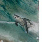 Honu Journey Set 1&2 Sand, Rose Quartz, Pearl, Shells   185x125cm (125x95cm each)