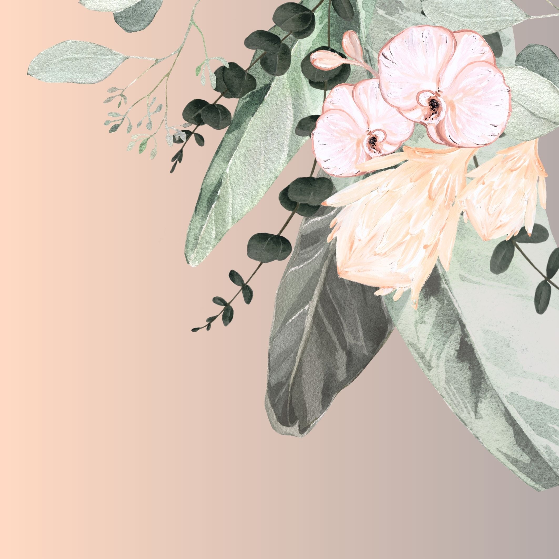 Protea 2. Australian Wildflowers. Limited edition Print. Square