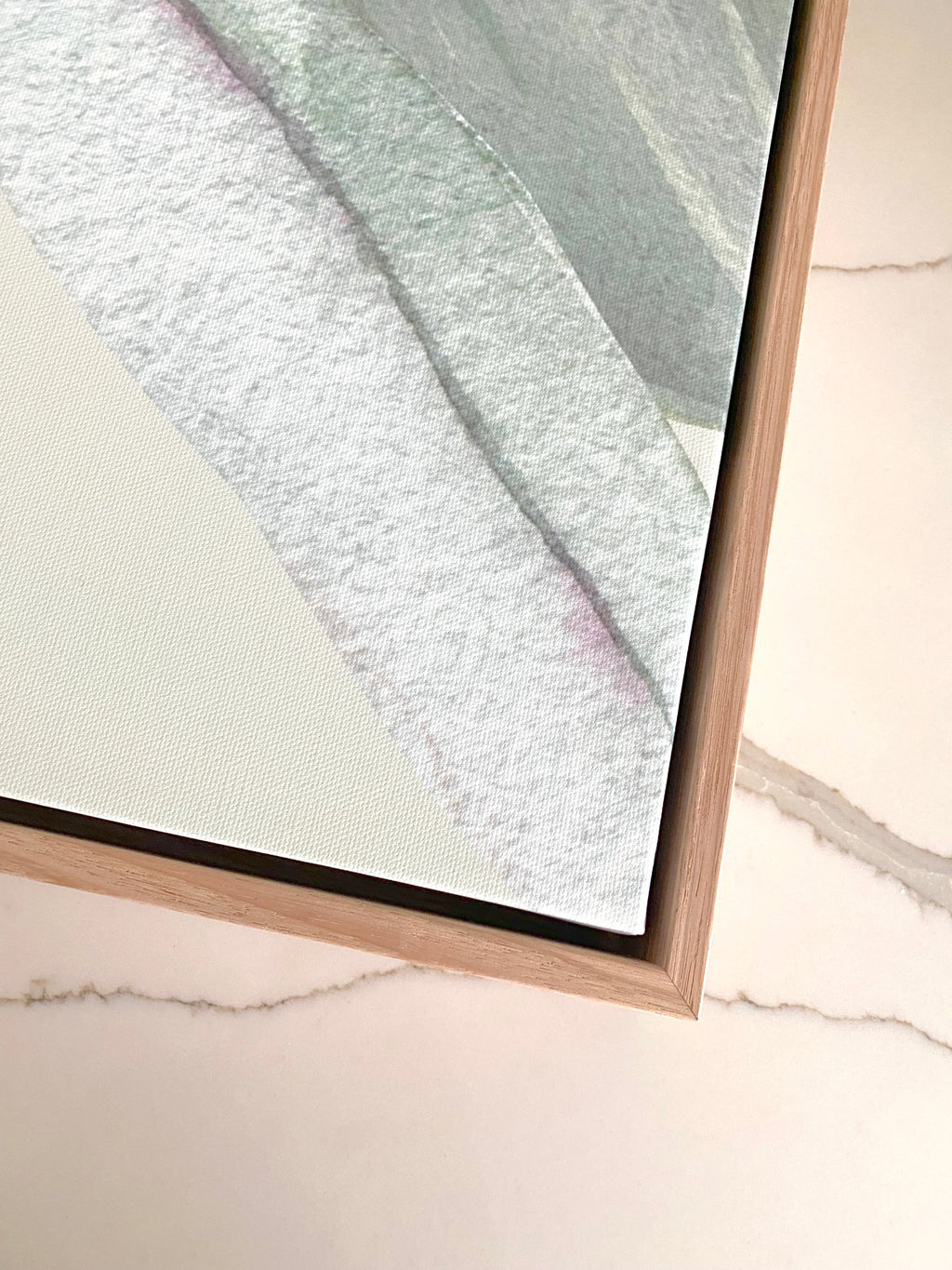 Seashells and Orchids 2