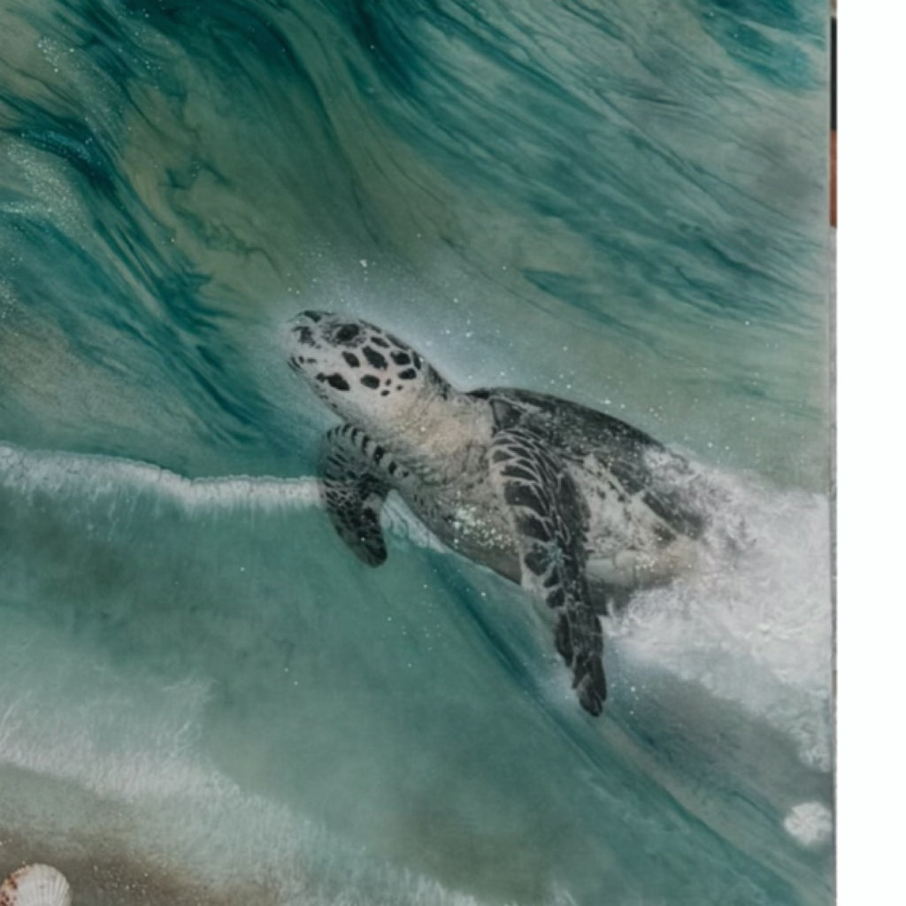 Honu Journey 2