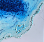 Ultramarine Blue Lagoon
