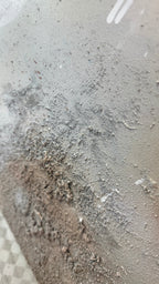 Where the Tide Returns Set of 2