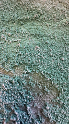 Green Boracay 90x180cm with Sand FRAMED