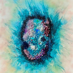 Coral Garden. Australian Reef. Limited edition Print. Square