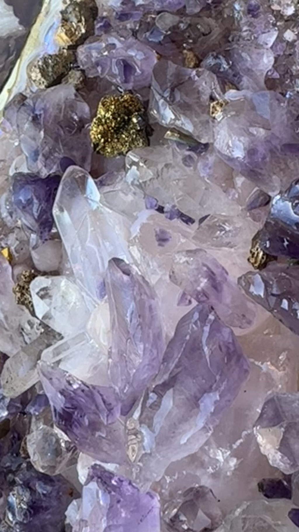 Amethyst Harmony Reef in Gold