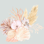 Seashells and Orchids 1