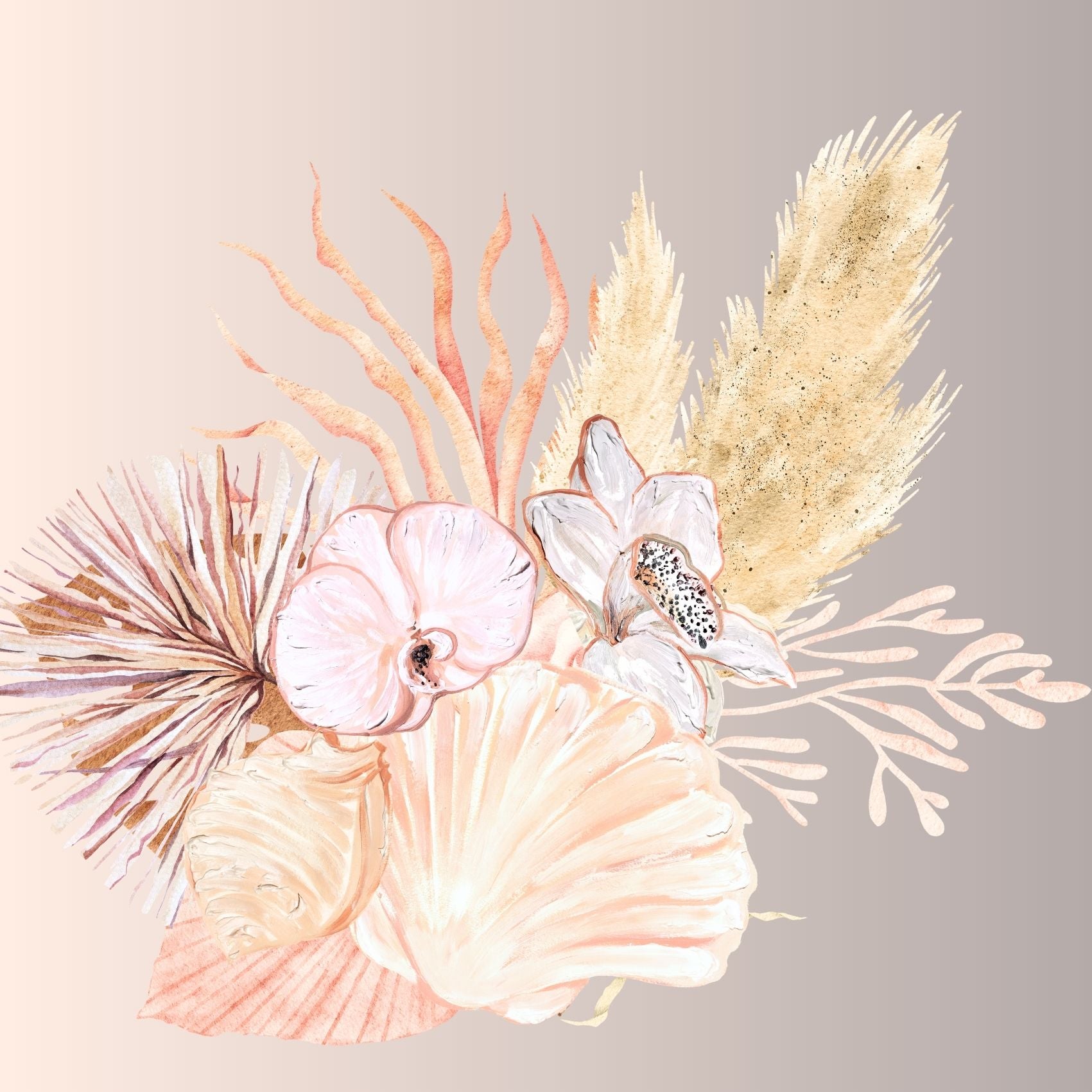Seashells and Orchids 1
