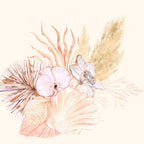 Seashells and Orchids 2