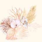 Seashells and Orchids 1