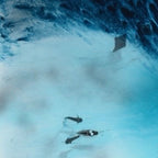 Blue Lagoon - Jewel Reef. Abstract Aerial Ocean. 100x100cm Original Artwork