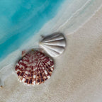 Rise Above 6.0 90x130cm with New Zealand Abalone Shells. FRAMED