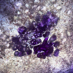 Purple amethyst light coffee table with handmade crystals - COMMISSION