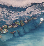 Bounty Turtle 2.0. Australian Seascape. Round  Artwork.