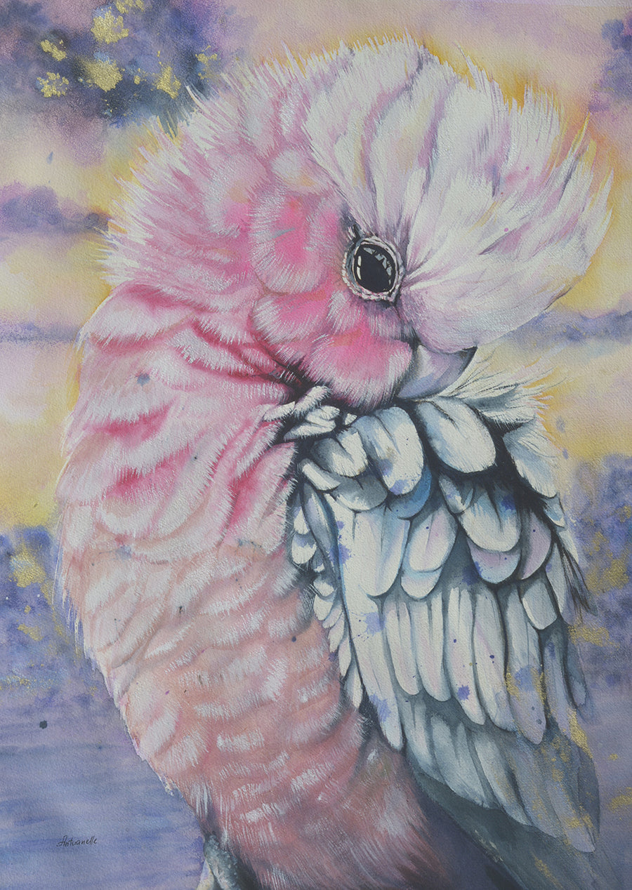 Bird Watercolor. Pink Galah Parrot. Art Print. Antuanelle 6 Parrot Artwork. Limited Edition Print