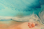 Abstract Beach. Rise Above Shells 2 Ocean Print. Art Antaunelle 6 Limited Edition Print