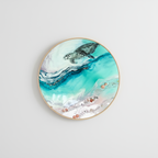9 Bounty Turtle 2. Abalone Shell. Round Acrylic Perspex Print