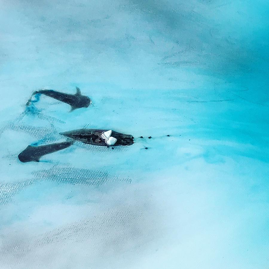 Blue lagoon. Australian Coast. Limited edition Print. Square