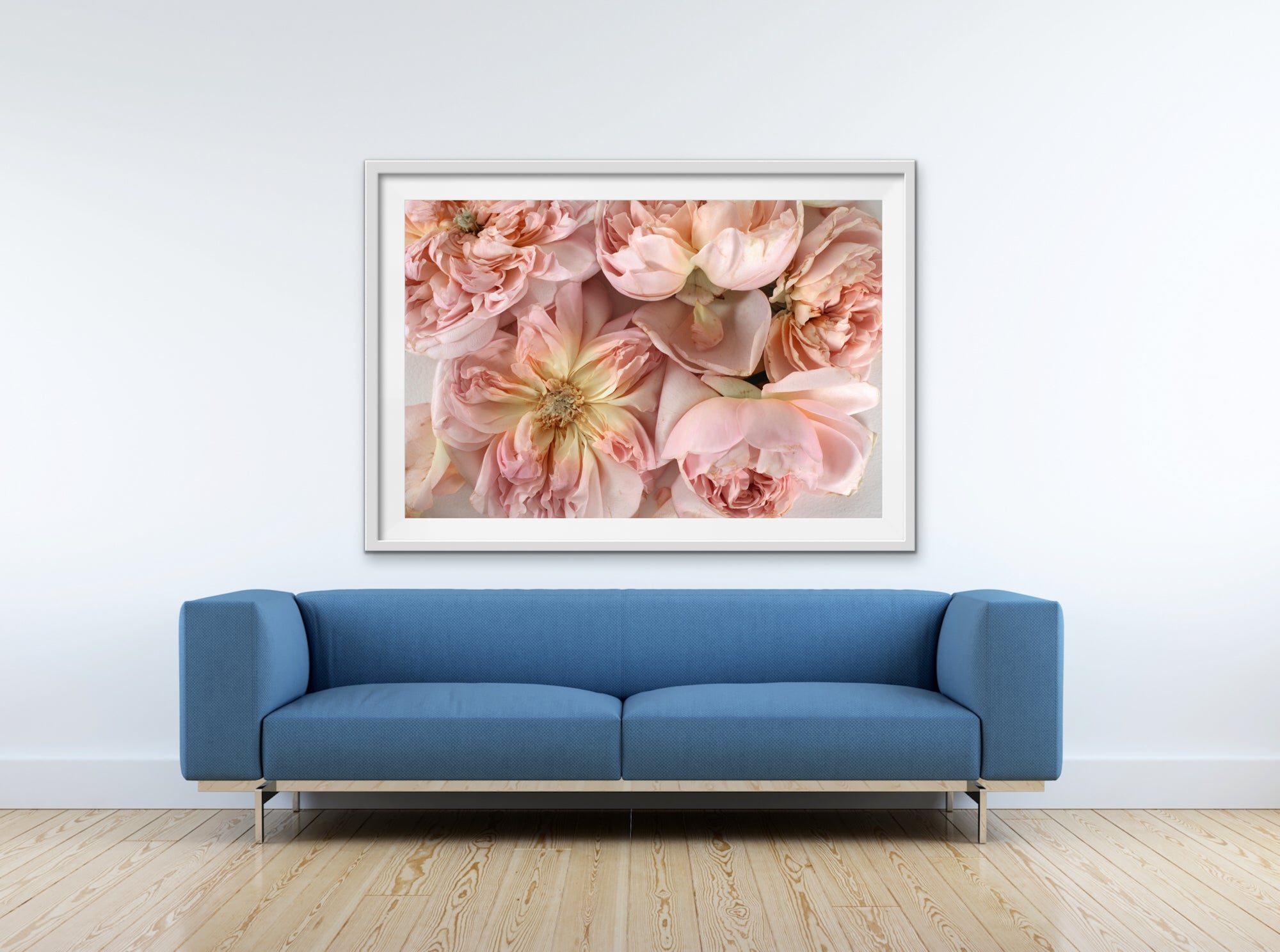 Abstract Floral. Soft Pink. Flower Power Macro. Art Print. Antuanelle 3 Pink Floral Artwork. Limited Edition Print