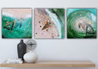 Close to Extinction Light set of 3 - Sea Turtle and Cicada Ocean Original Art - Gallery Wall