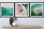 Close to Extinction Light set of 3 - Sea Turtle and Cicada Ocean Original Art - Gallery Wall
