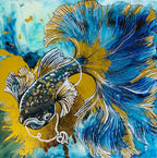Blue Fish Artwork. Beta Fighter Fish. Abalone shells in Gold